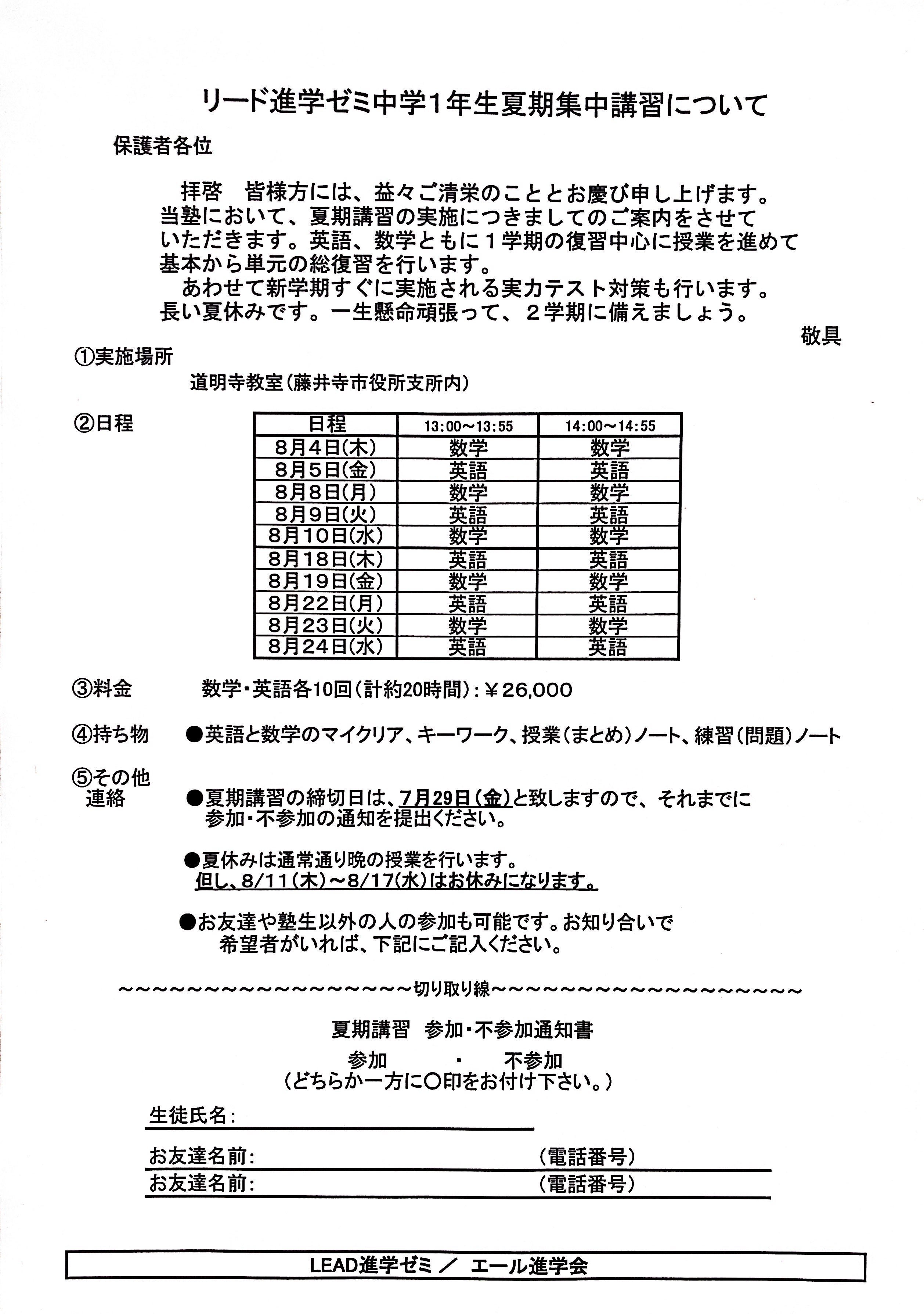 リード夏期講習 コレクション 値段